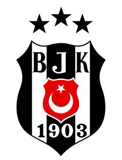 Custom Bjk Logo