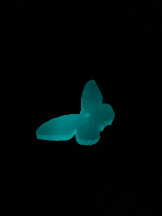 Butterflies 🦋