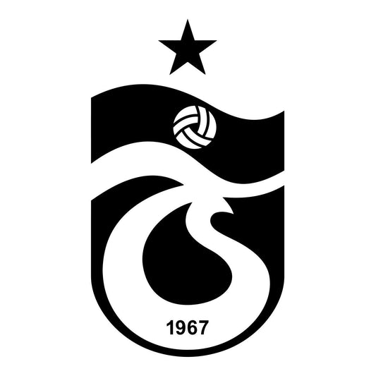 Custom Logo